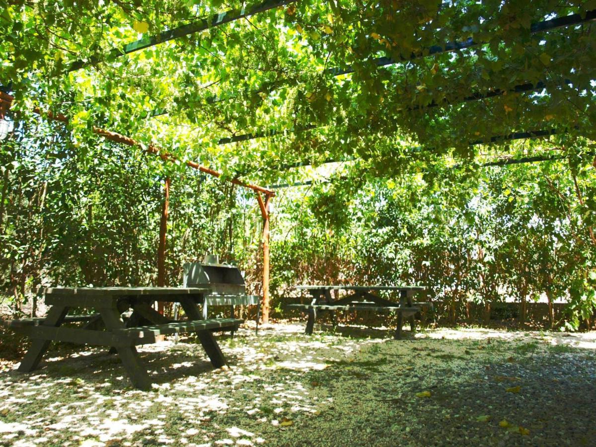 The White Rabbit Guesthouse Eco-Lodge "Cosy Apartment" Psakoudia Esterno foto