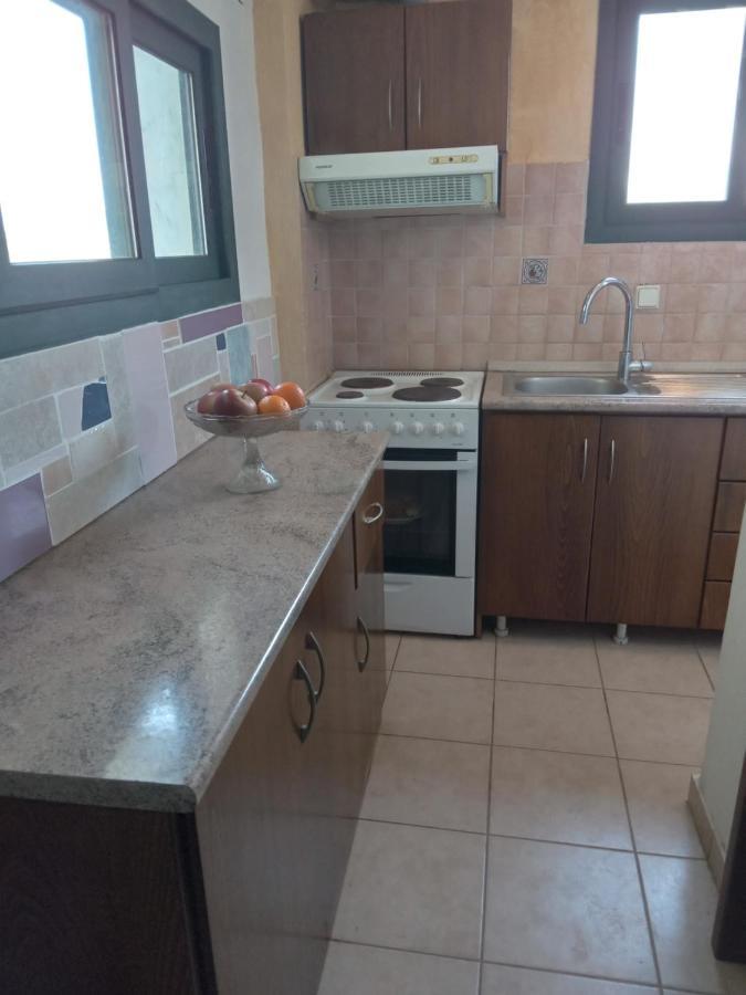 The White Rabbit Guesthouse Eco-Lodge "Cosy Apartment" Psakoudia Esterno foto