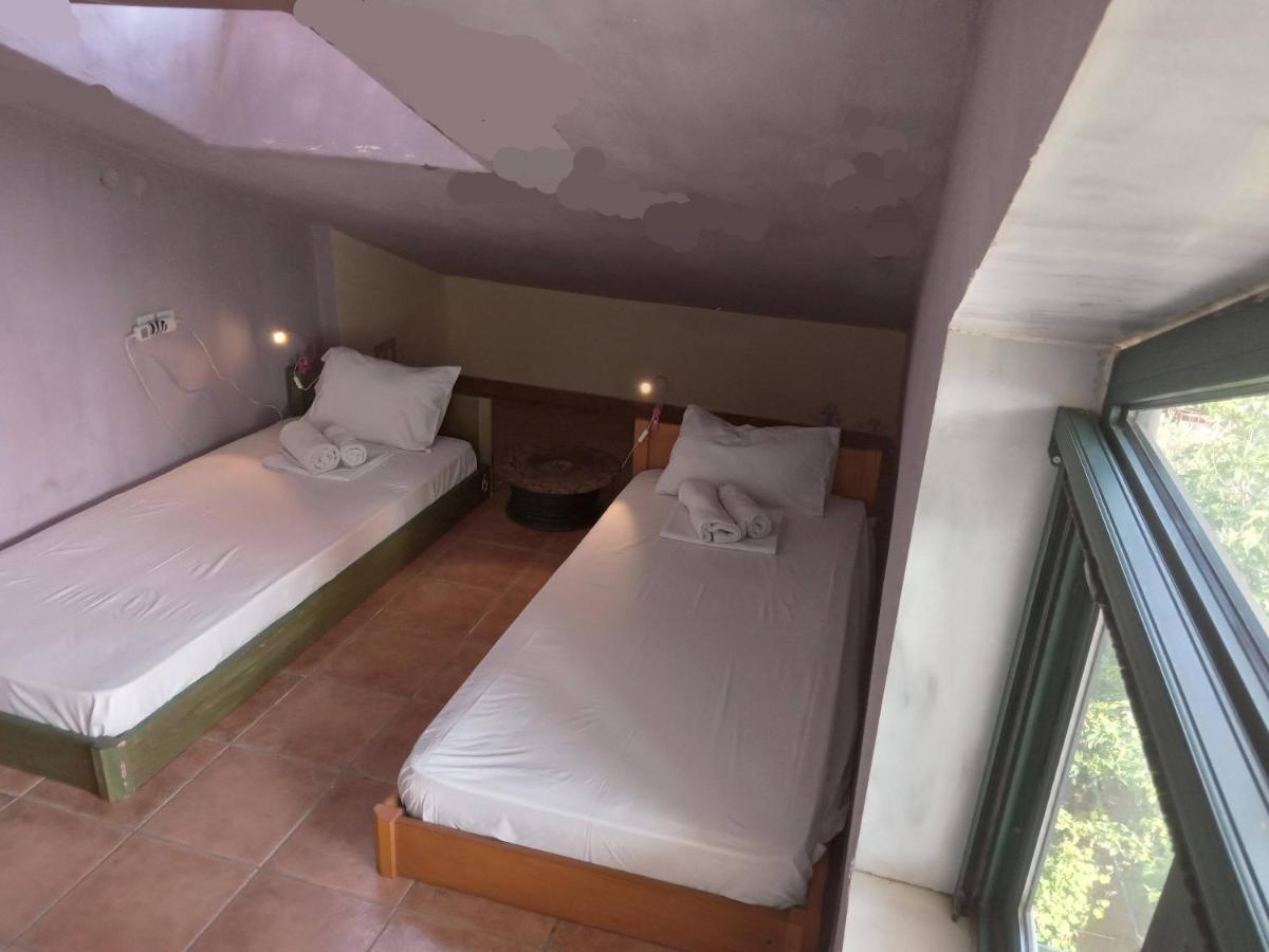 The White Rabbit Guesthouse Eco-Lodge "Cosy Apartment" Psakoudia Esterno foto