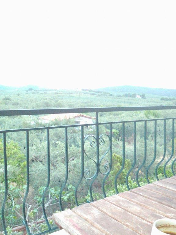 The White Rabbit Guesthouse Eco-Lodge "Cosy Apartment" Psakoudia Esterno foto