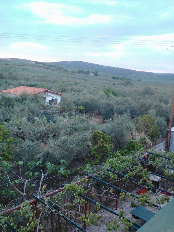 The White Rabbit Guesthouse Eco-Lodge "Cosy Apartment" Psakoudia Esterno foto